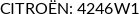 Cross